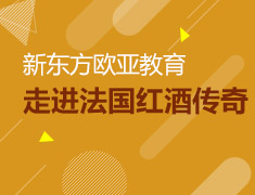 11月8日走进勃艮第