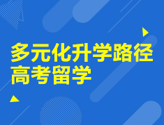 多元化录取梦校路径-高考留学