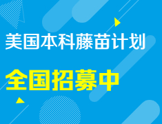 美国本科藤苗计划全国招募中！