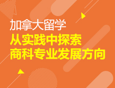 加拿大本科热门商科专业详解