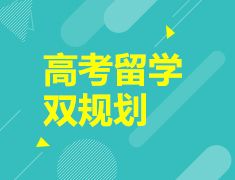 高考留学双规划