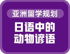 日语中的动物谚语