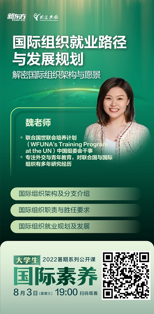 国际组织就业路径与发展规划