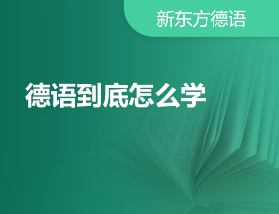 11月21日：德语到底怎么学？
