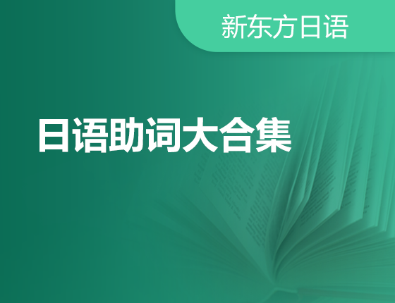 11月22日：日语助词大合集