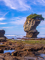 新西兰奥塔哥大学主楼2