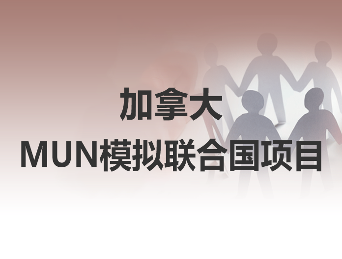 MUN模拟联合国指导项目