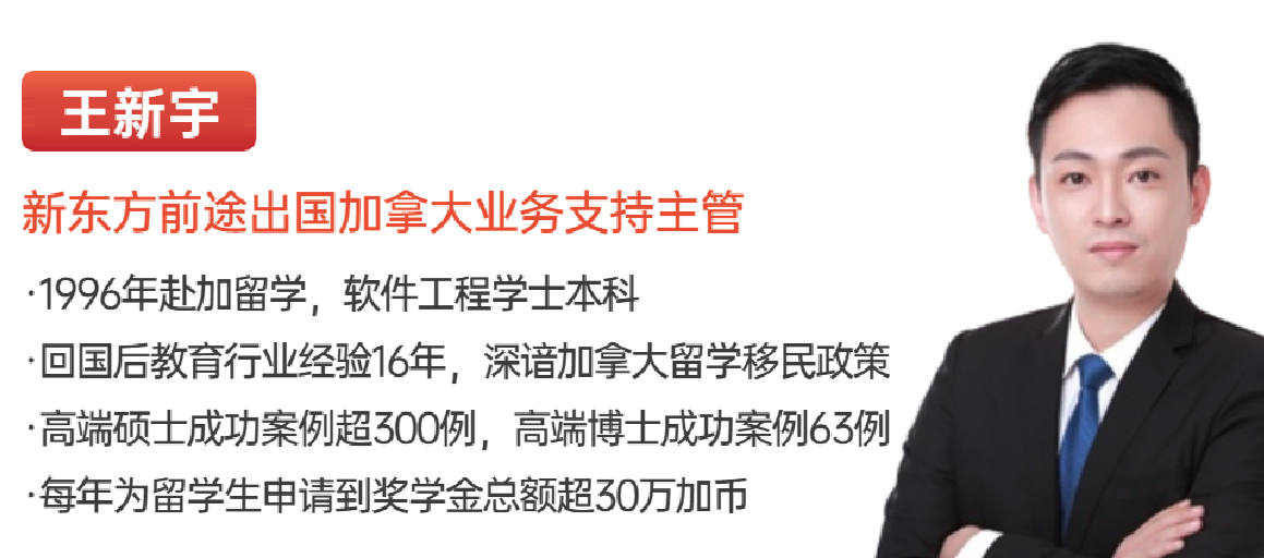 王新宇