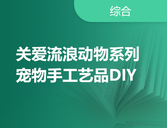 9月10日 | 关爱流浪动物：宠物手工艺品DIY