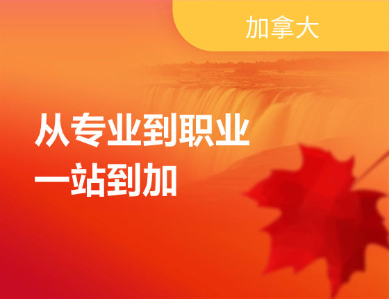 从专业到职业——一站到加