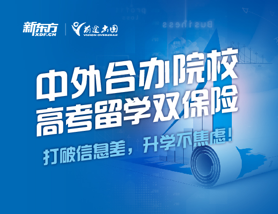 中外合办院校-高考留学双保险