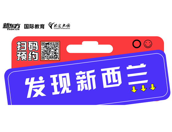 发现新西兰