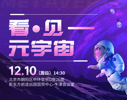 看·见—元宇宙