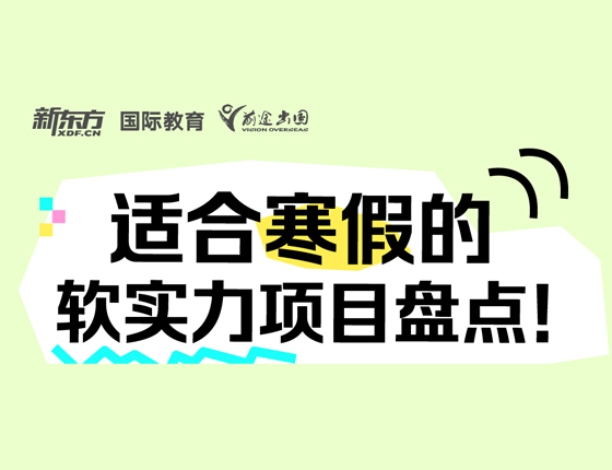 适合寒假的软实力项目盘点