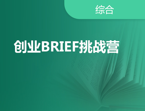 创业BRIEF挑战营