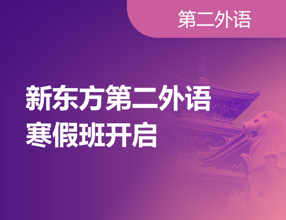 第二外语寒假班热招