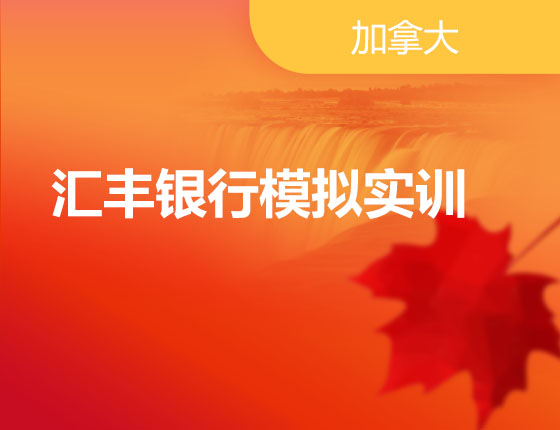 04.20|汇丰银行模拟实训