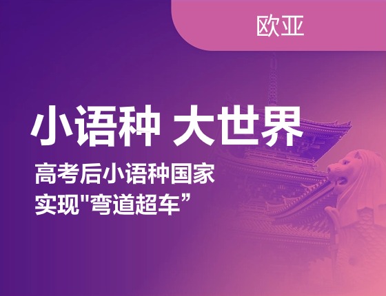 小语种，大世界——高考后小语种国家实现