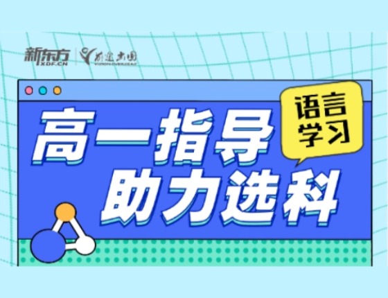 高一指导语言学习助力选科