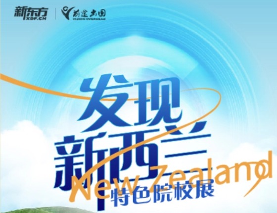 发现新西兰