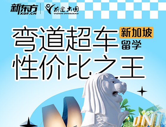 【新加坡留学】弯道超车性价比高