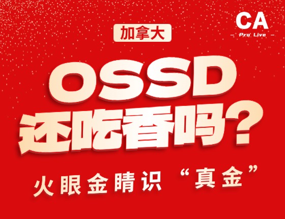 OSSD还吃香吗？火眼金睛识“真金”