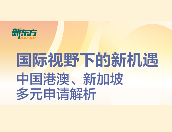 国际视野下的新机遇