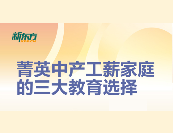 菁英中产工薪家庭的三大教育选择