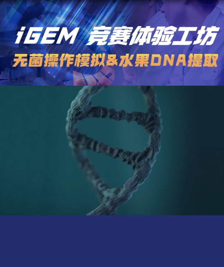 国际竞赛提前感受一波:IIGEM