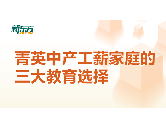 菁英中产工薪家庭的三大教育选择