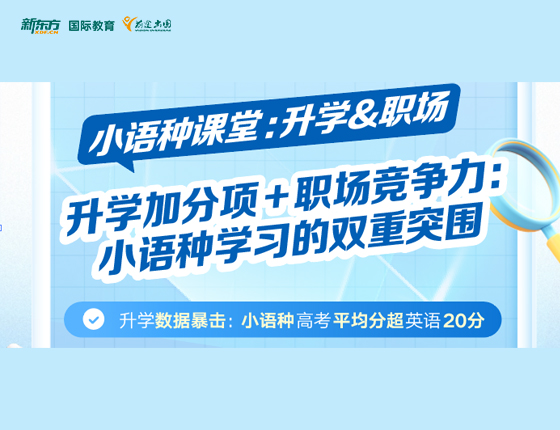 申请加分项+职场竞争力 小语种学习的双重突围