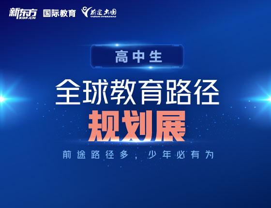 全球教育路径规划展