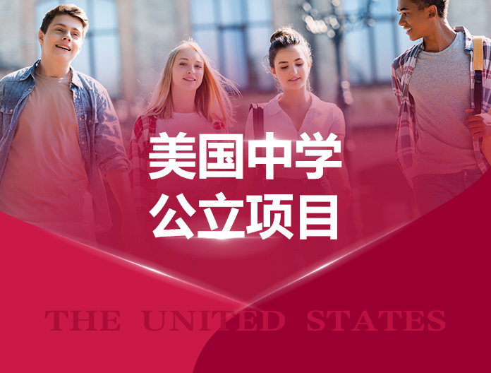 美国中学公立项目