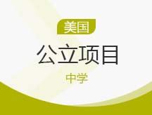 美国中学公立项目