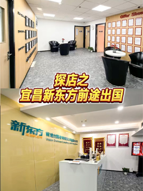 探店之宜昌新东方前途出国
