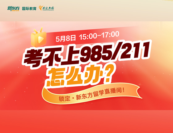 考不上985/211怎么办？