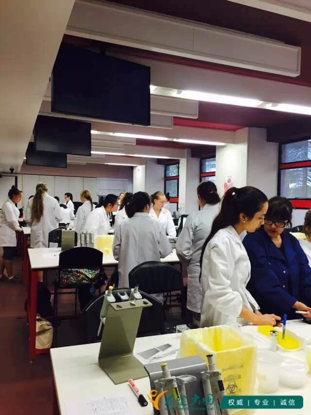 【前途，在路上】昆大沥青实验背后的死磕精神
