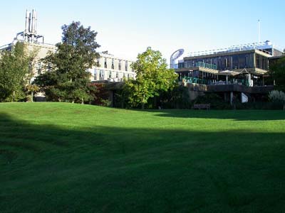 巴斯大学