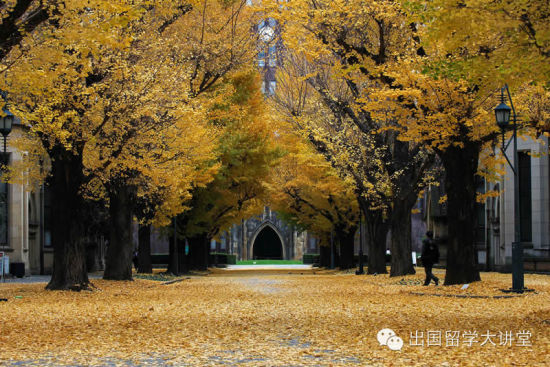 日本东京大学