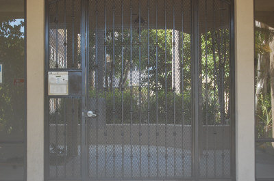 三名因留学生违反公寓禁止养狗规定，被管理员警告三次后赶出公寓。
