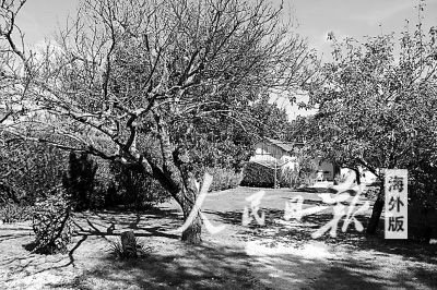 “洋房东”眼中的中国学生 文化碰撞别样体验