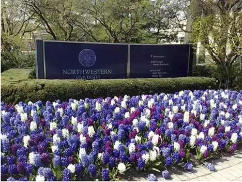 美国商学院 美国商学院