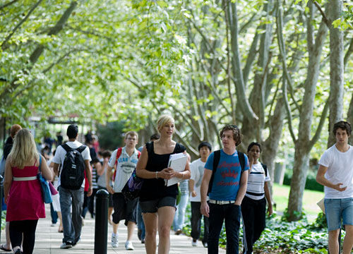 麦考瑞大学 麦考瑞大学