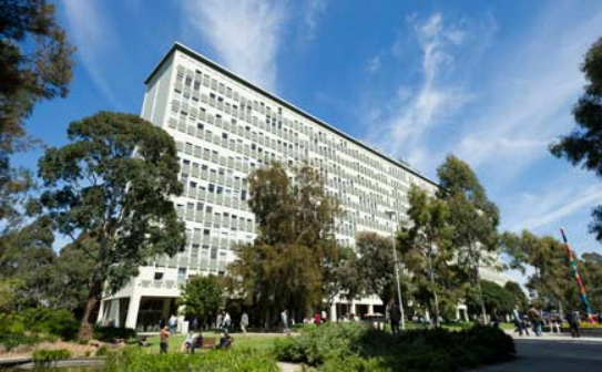 蒙纳什大学 蒙纳什大学