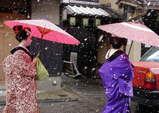 日本文科留学