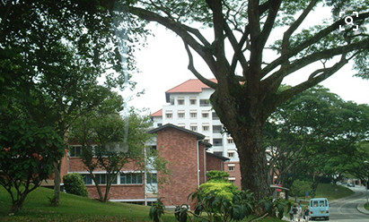 新加坡公立大学