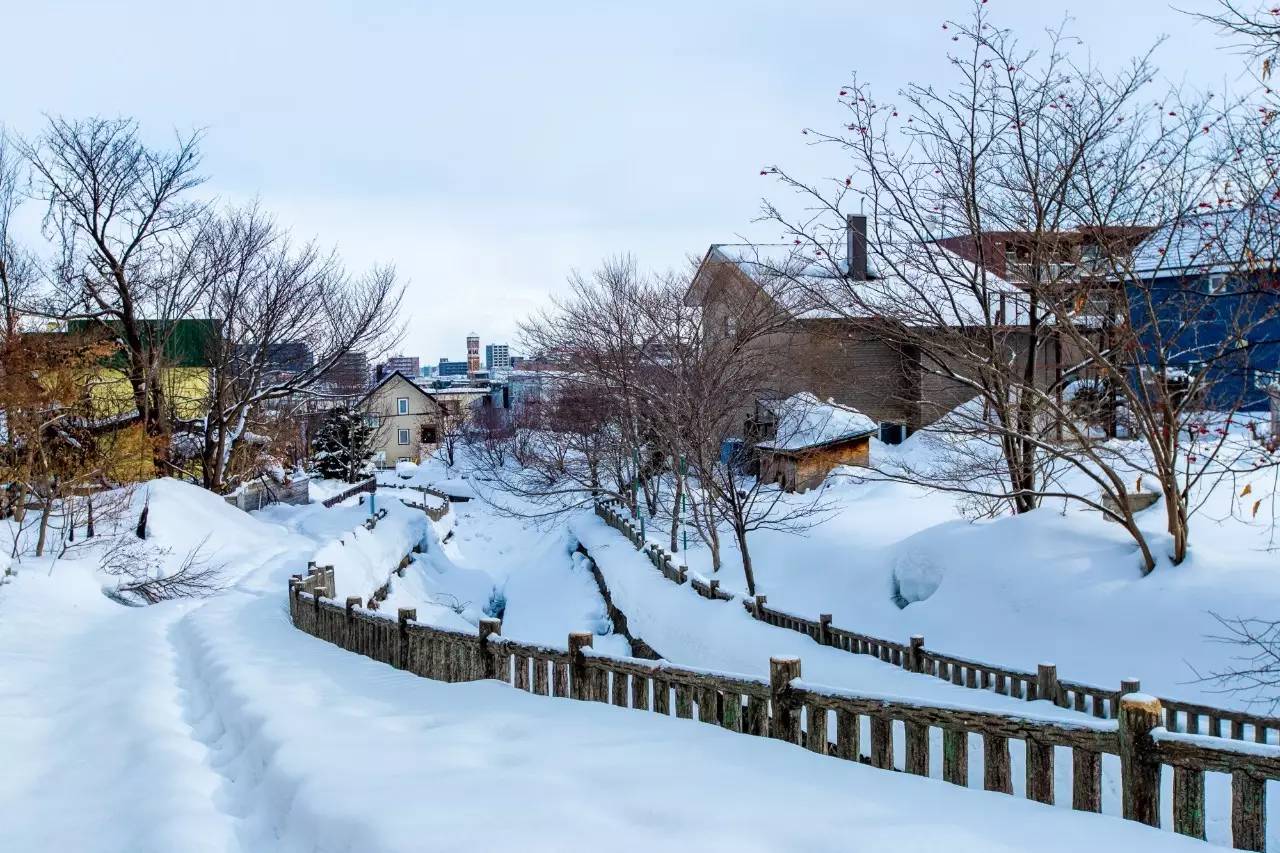 日本留学之札幌