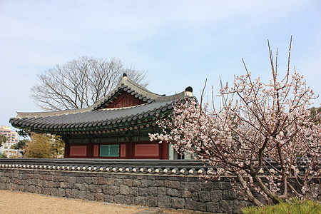 韩国 韩国
