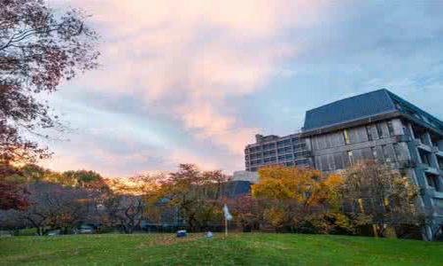 新西兰留学 奥克兰商学院工商管理硕士课程分析
