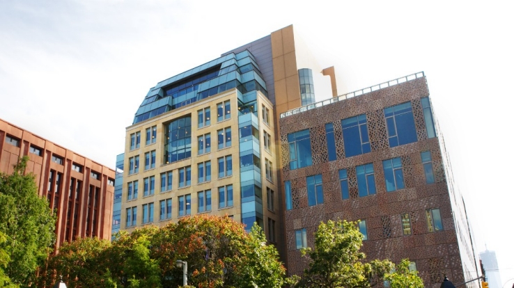 纽约大学